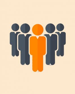 Understanding the HRM Function
